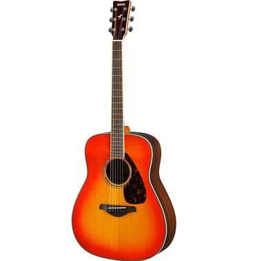 Acoustic Guitar FG830